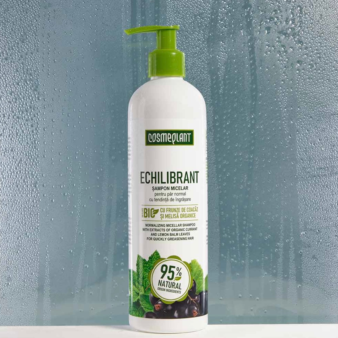 Shampooing micellaire équilibrant