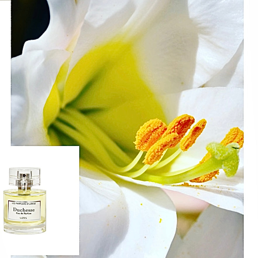 Duchesse 100ML