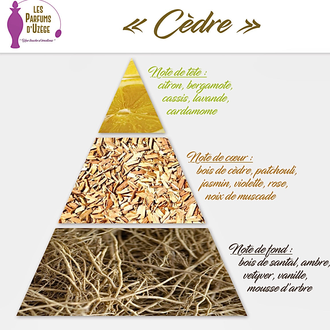 Cèdre 50ML